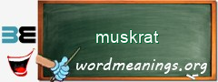 WordMeaning blackboard for muskrat